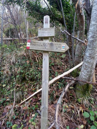 SENTIERI NEI BOSCHI INCANTATI - MONTI DELLA LAGA 